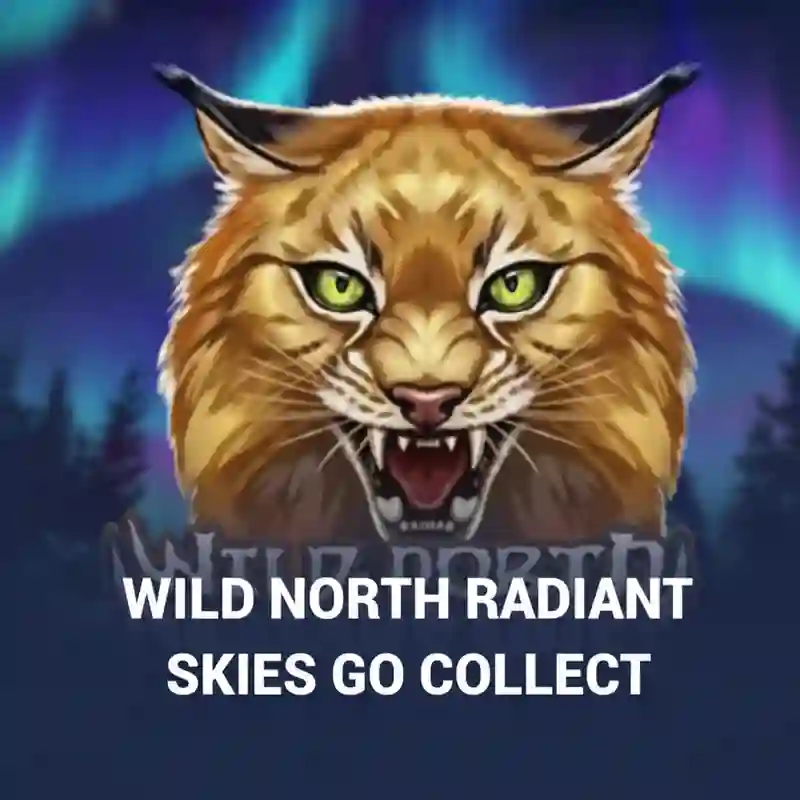 Wild North Radiant Skies